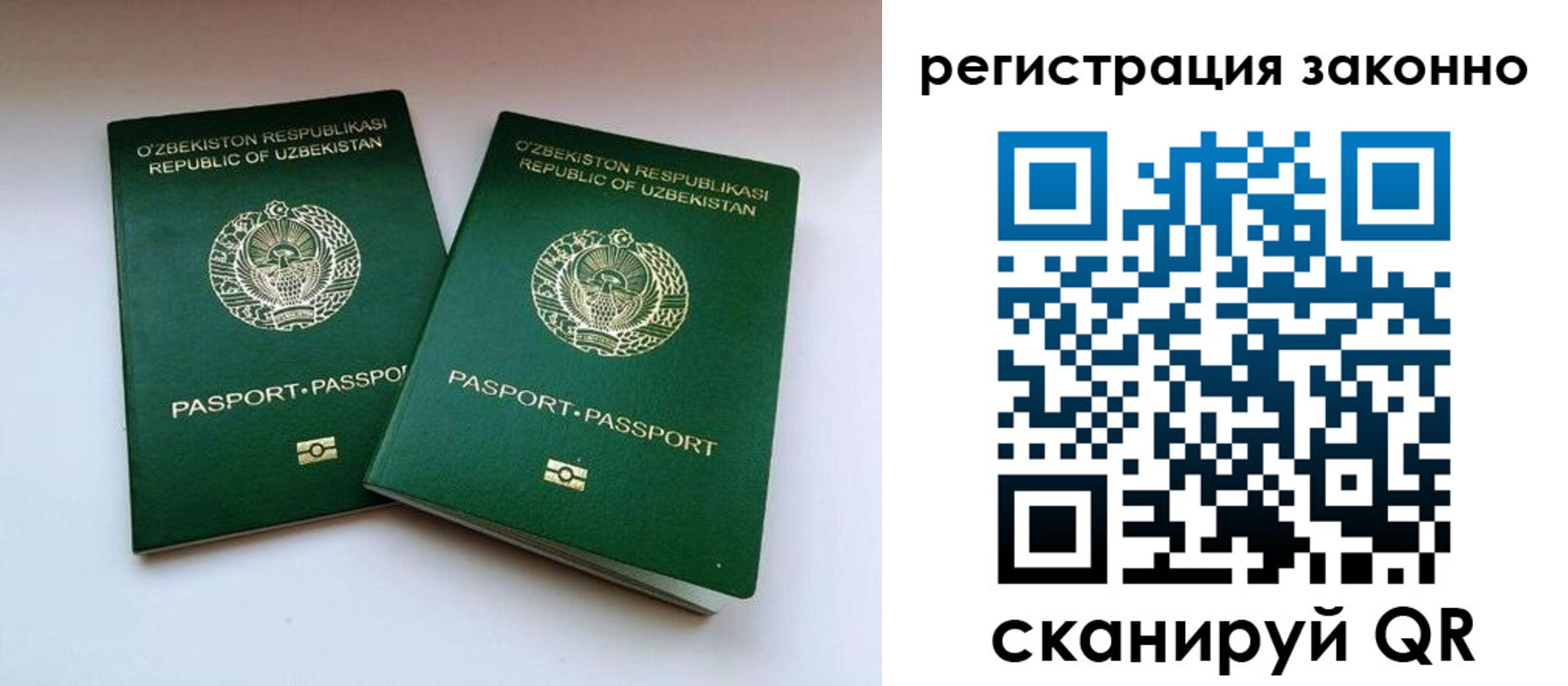 прописка гарантия в Кукморе